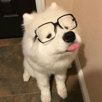 🥣 (@bettergreentea_) 's Twitter Profile