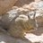 espoir414's profile image