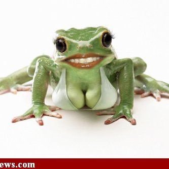 MrFrwog69's profile picture. 18 m bi DMs are open, I do not buy