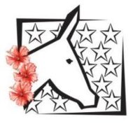 🌈 Democratic Women's Club of Upper Pinellas🇺🇸🌴 (@dwcup727) 's Twitter Profile