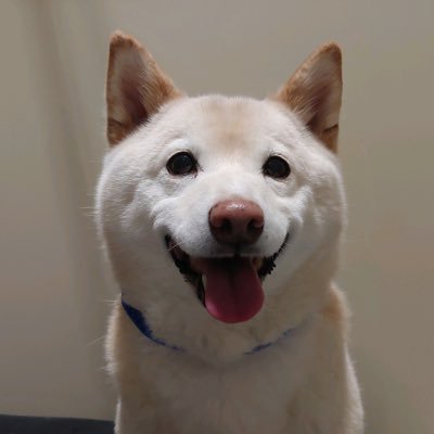 Elteeisme's profile picture. I never let my schoolin’ interfere with my education. - Mark Twain