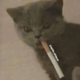꧁•An•꧂さんのプロフィール画像