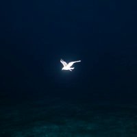 Cristobal Olivares (@cristolivares) 's Twitter Profile