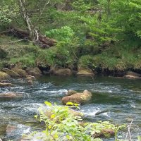 Abigail Tan (@symmetr1cgroup) 's Twitter Profile Photo