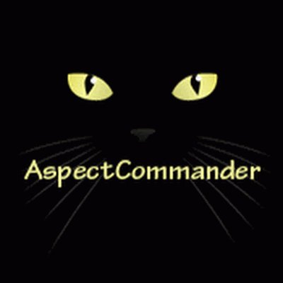 Aspect Commander