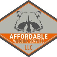 Affordable Wildlife Services(@wildservicesfl) 's Twitter Profile Photo