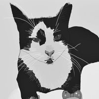 Osman Beyazçurap (@beyazcurap) 's Twitter Profile Photo Osman Beyazçurap (@beyazcurap) 's Twitter Profile Photo