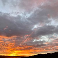 Pedro Carrero (@pedroca36799344) 's Twitter Profile