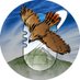 Alveus Sanctuary (@alveussanctuary) Twitter profile photo Alveus Sanctuary (@alveussanctuary) Twitter profile photo