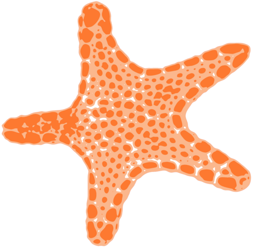 SkoobaDiving's profile picture. Will (MSDT) and Jane (AI/Pro videographer) share our love for the amazing underwater world in Sydney, Australia. Come join us!