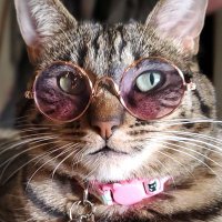 Lyona (@lyoniseth) 's Twitter Profile Photo