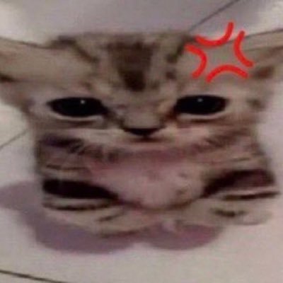 Saltybird3's profile picture. 18| 🇷🇴🇬🇧 wraith thighs wraith thighs wraith thighs.Pog people zone, leave if not pog. insta:@just_that_epic_