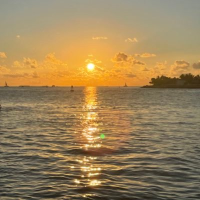 Kimet007's profile picture. Little person. Big power but careful how I wield it. Socially responsible. Vote 💙 Loves big belly laughs. WE’RE NOT GOING BACK! No DMs. #DefendDemocracy