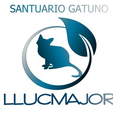 Santuario Gatuno Llucmajor
Info@santuritos.com