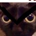 ermm no (@altkeyb) Twitter profile photo ermm no (@altkeyb) Twitter profile photo