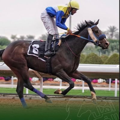 - خيّال | jockey .