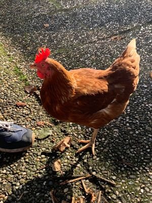 KyrPit's profile picture. 🍀🍀🍀🍀