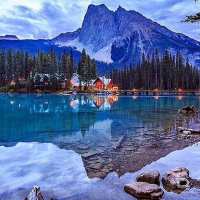 Teresa Roberts (@teresar86980558) 's Twitter Profile
