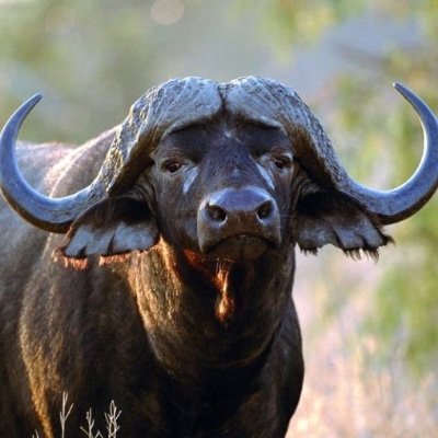 O&G Engineer, Computational Fluid Dynamics, Code for fun, Trader, /ES /CL /ZN /NG /6E