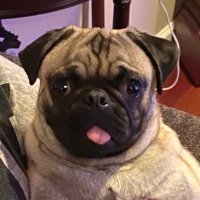 John (@buddyspitz) 's Twitter Profile Photo John (@buddyspitz) 's Twitter Profile Photo