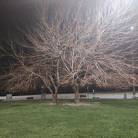 raclytoss (@raclytoss) Twitter profile photo