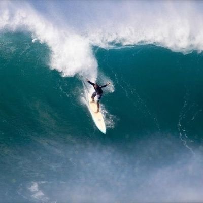 david_harazi's profile picture. חי את האמת שלי בכל הכח.