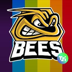 Schools Programme as part of The Community Programme for the Bees Ice Hockey Team playing in NIHL National League , in association with @AVSSLtd.