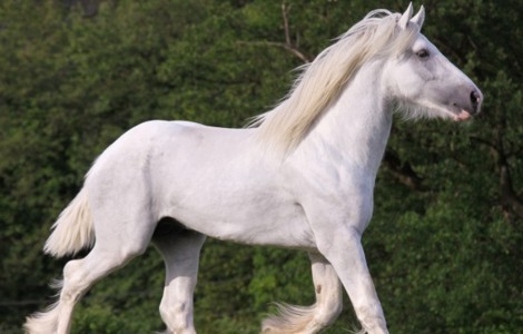 pacco44's profile picture. z zt. im epilog des lebens..