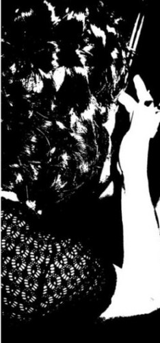 lyu999's profile picture. 