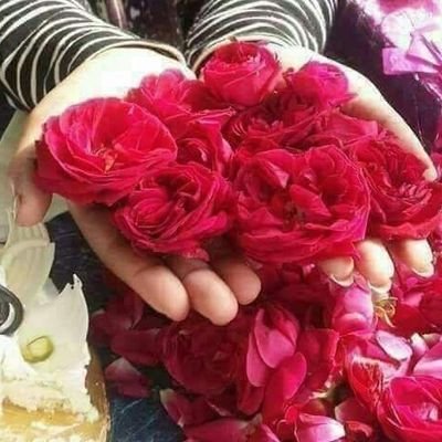 دن لَہَومیں کھوناتجھے،شب صبح تک سوناتجھے
شرمِ نبی خوفِ خدا،یہ بھی نہیں وہ بھی نہیں
رزقِ خداکھایاکِیا،فرمانِ حق ٹالاکِیا
شکرِکرم ترسِ سزا،یہ بھی نہیں وہ بھی ن