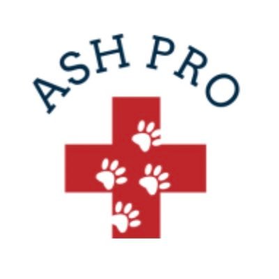 Ash Proさんのプロフィール画像