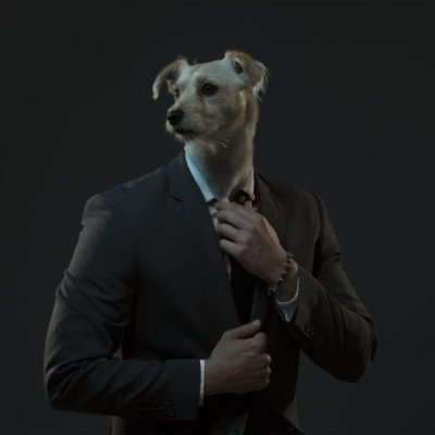 C_argenta's profile picture. 