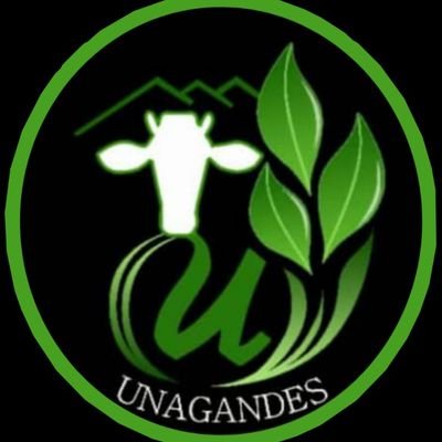 unagandes Profile Picture