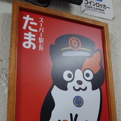 X7KxLCDm5HJU3JQ's profile picture. 焼肉が好きです、もちろん🐡も