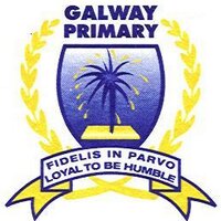 GalwayPrimary (@galwayprimary) 's Twitter Profile