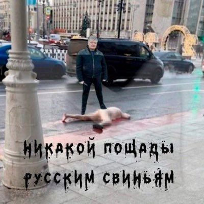 Phantom1488's profile picture. Зигуй-убивай