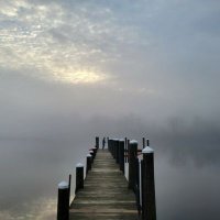 Lisa Rode (@roderunners) 's Twitter Profile Photo