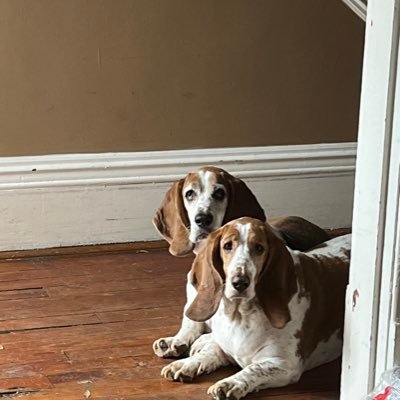 LoftonNikki's profile picture. 