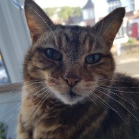 Daily Mavis (@daily_mave) 's Twitter Profile