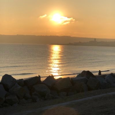 lannet's profile picture. 