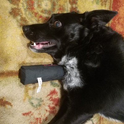 etiquetteofmad's profile picture. The Bipolar mind knows no rules or etiquette. Writer, publisher, mental health advocate and pro brainstormer.  I don't vote for felons or fascists.