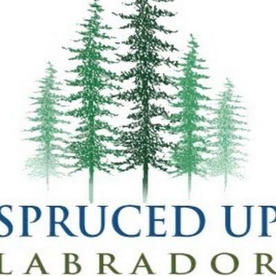 SprucedL's profile picture. 