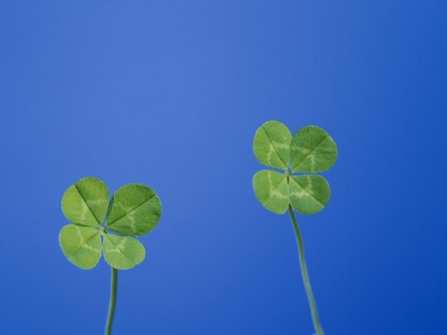 KOGAS_JUNGSO's profile picture. 아웅다웅하지 말고 그냥 흘러가는 대로 .....