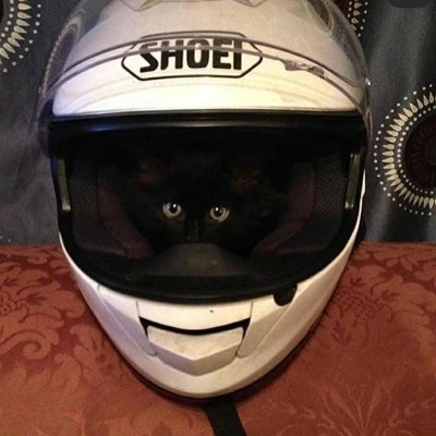 DevJonta's profile picture. Banana que cai na terra, vira olho de gato d'água