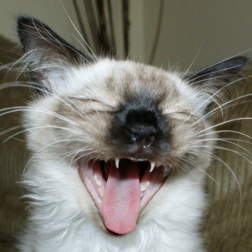 fern6309's profile picture. 