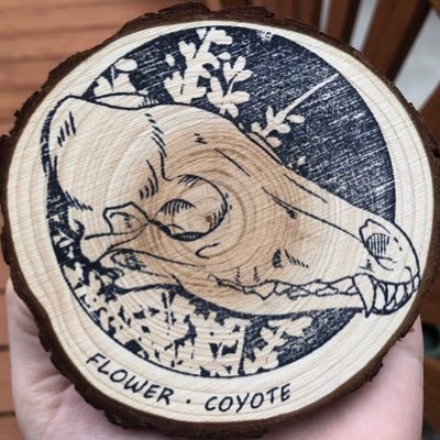 flower_coyote Profile Picture