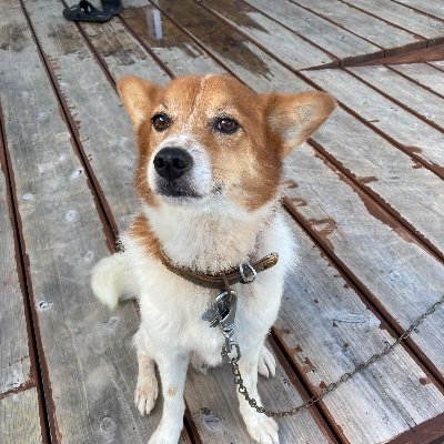 リュです
🇰🇷🇯🇵のハーフ
趣味カラオケ、映画、ショッピング、ファッション、料理
たまぁに日本語あやふやなるのでそこは許して欲しい
よろしくお願いします