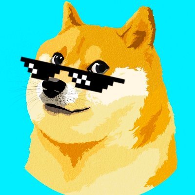 DogeNodesWTF's profile picture. 