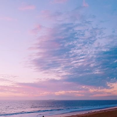 XRrocket's profile picture. 변방의 부동산•주식•크립토 투자자/NFT비기너/경제적 자유