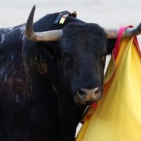 Eltdsa2 (@eltorodesananto) 's Twitter Profile